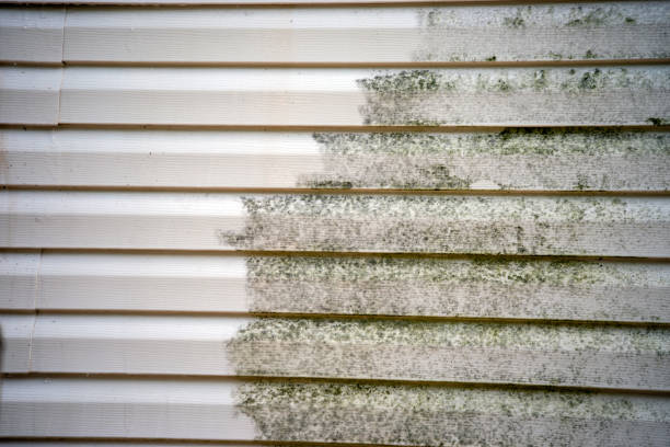 Best Brick Veneer Siding  in Bridgeport, OH
