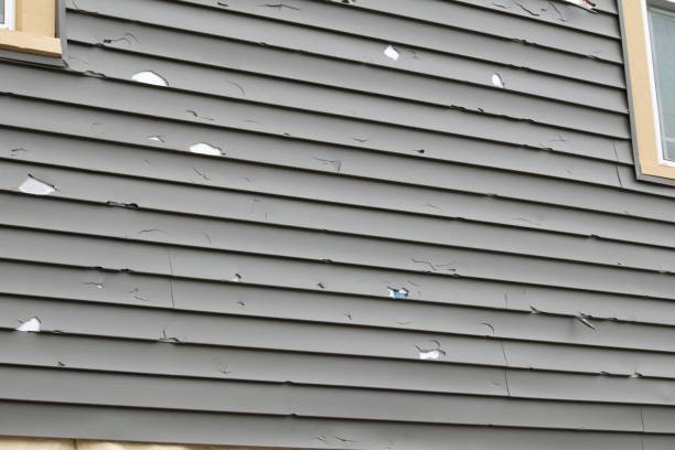 Best Composite Siding  in Bridgeport, OH
