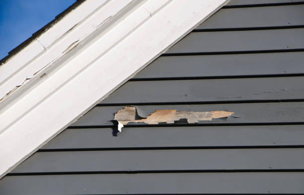 Best Fiber Cement Siding Installation  in Bridgeport, OH