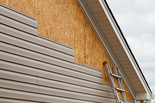 Custom Trim and Detailing for Siding in Bridgeport, OH